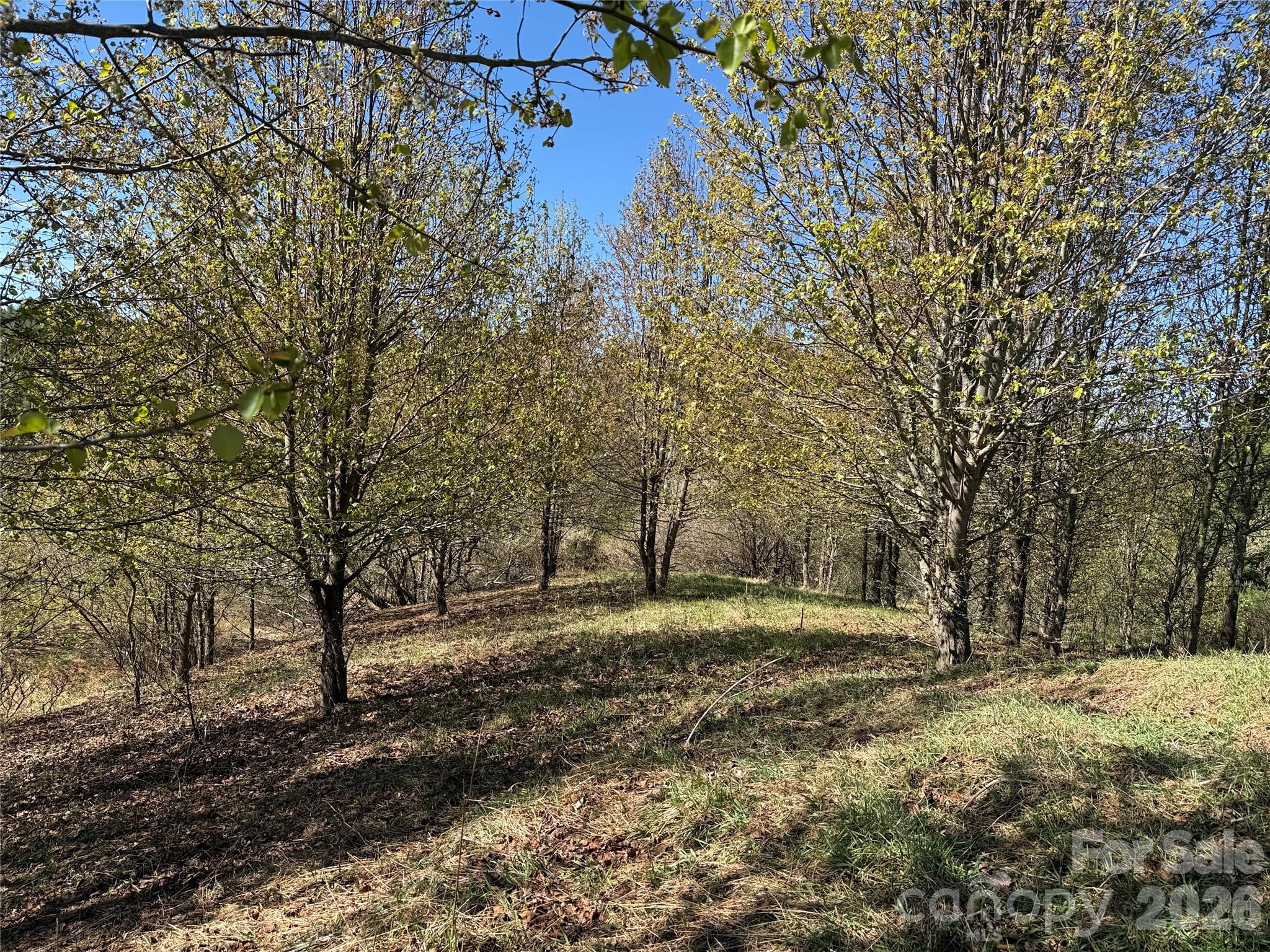 Tbd (Lot 21 & 22) Martha Lane Piney Creek NC 28663