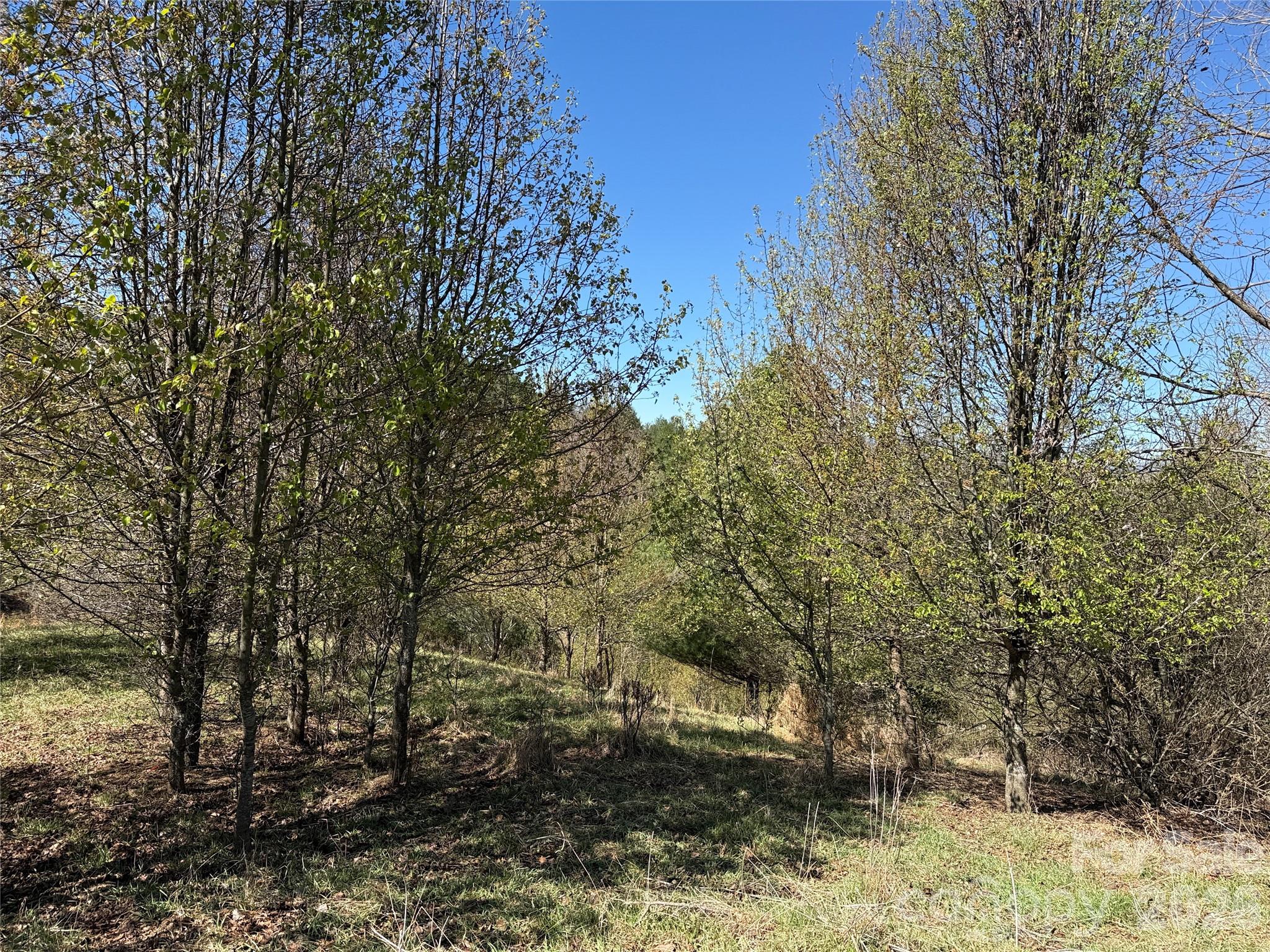 Tbd (Lot 21 & 22) Martha Lane Piney Creek NC 28663