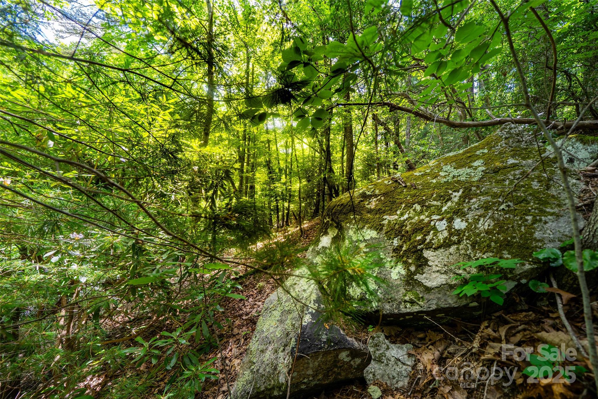 00000 Foster Hill Drive Hendersonville NC 28739