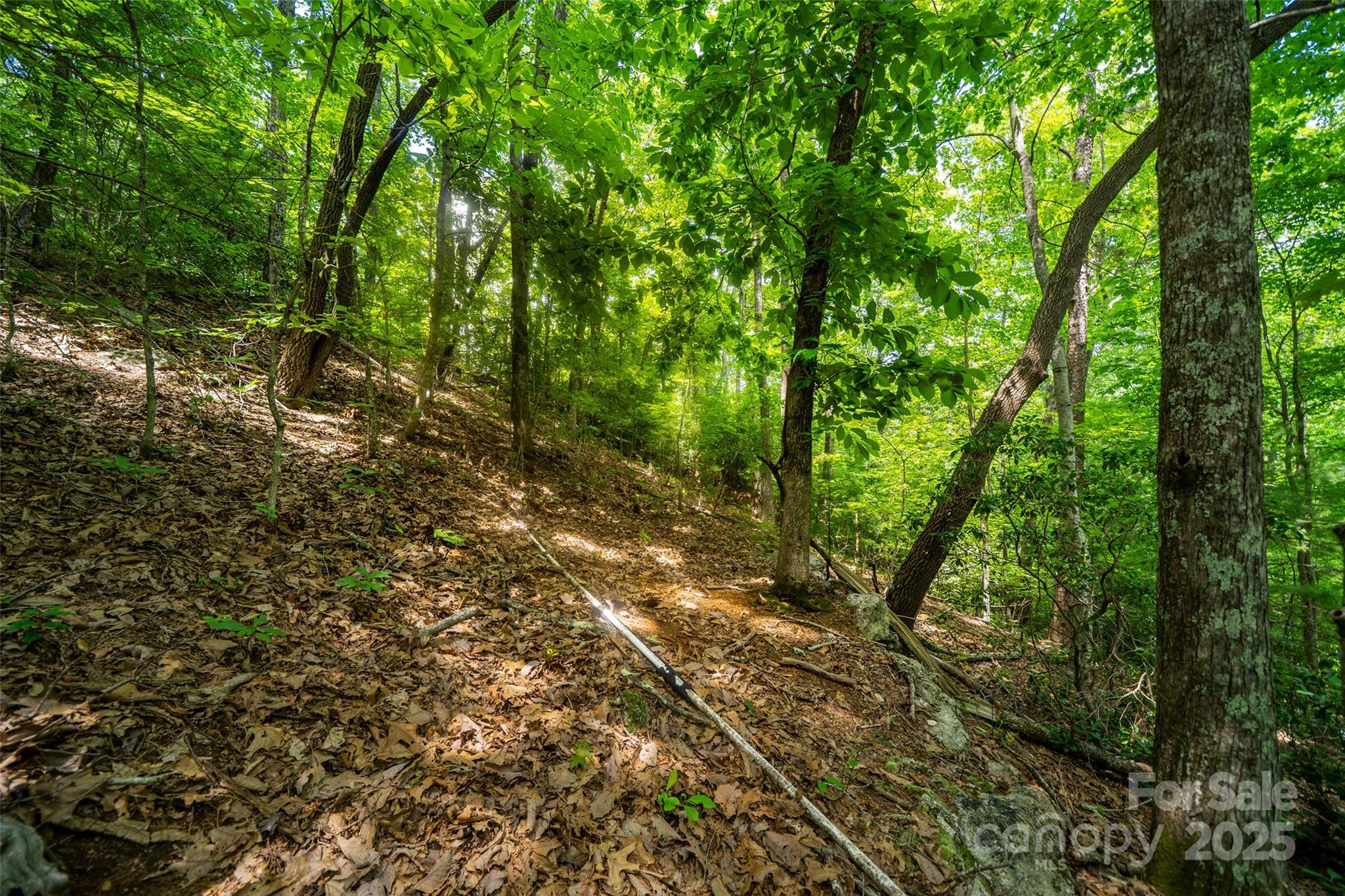 00000 Foster Hill Drive Hendersonville NC 28739