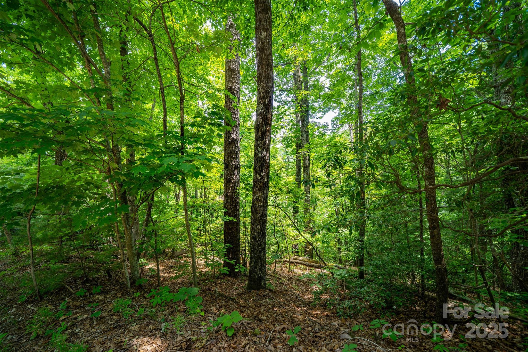 00000 Foster Hill Drive Hendersonville NC 28739