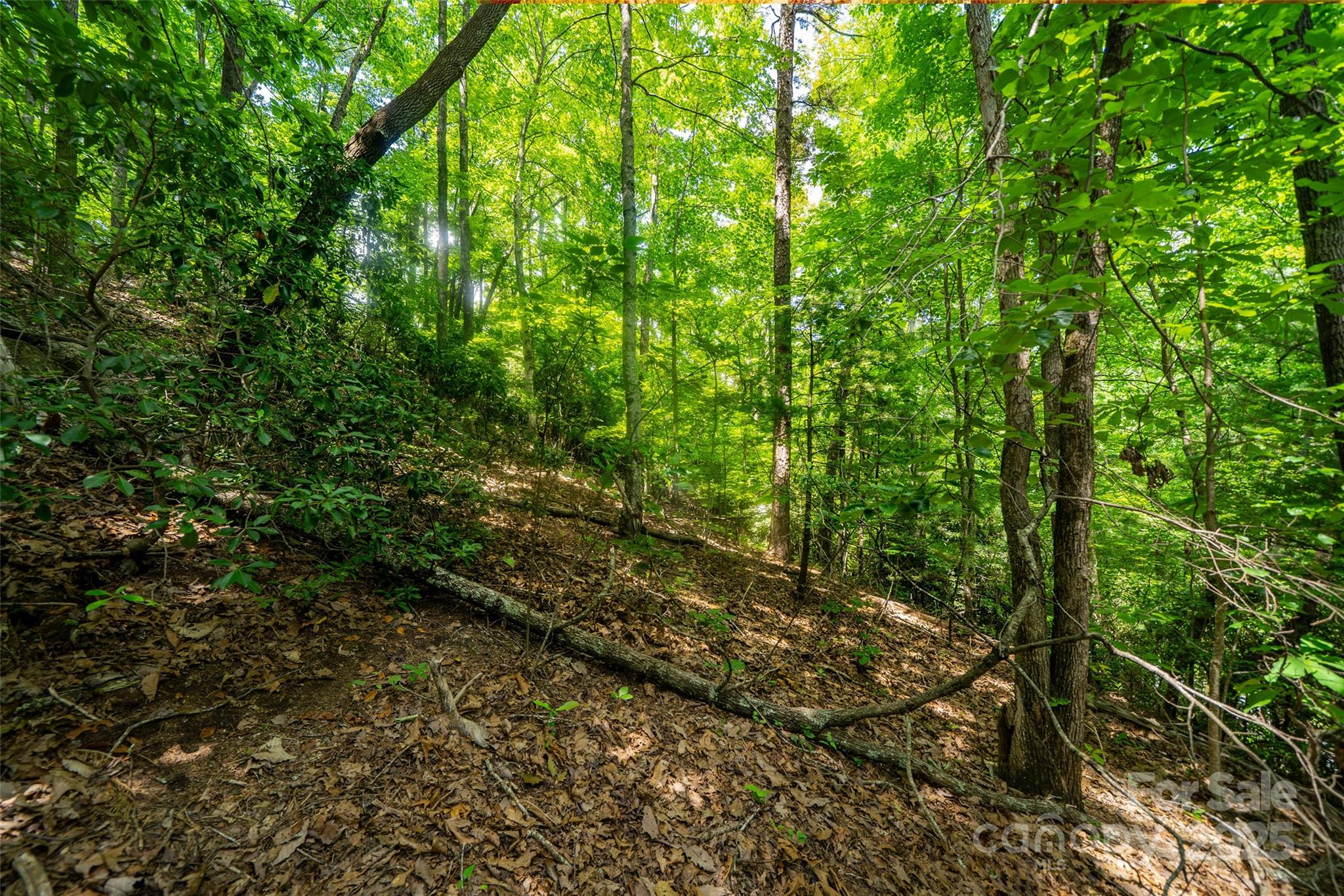 00000 Foster Hill Drive Hendersonville NC 28739