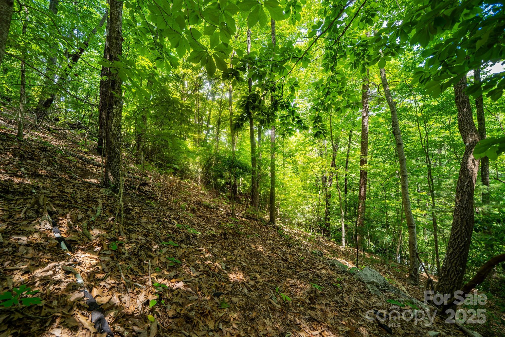 00000 Foster Hill Drive Hendersonville NC 28739