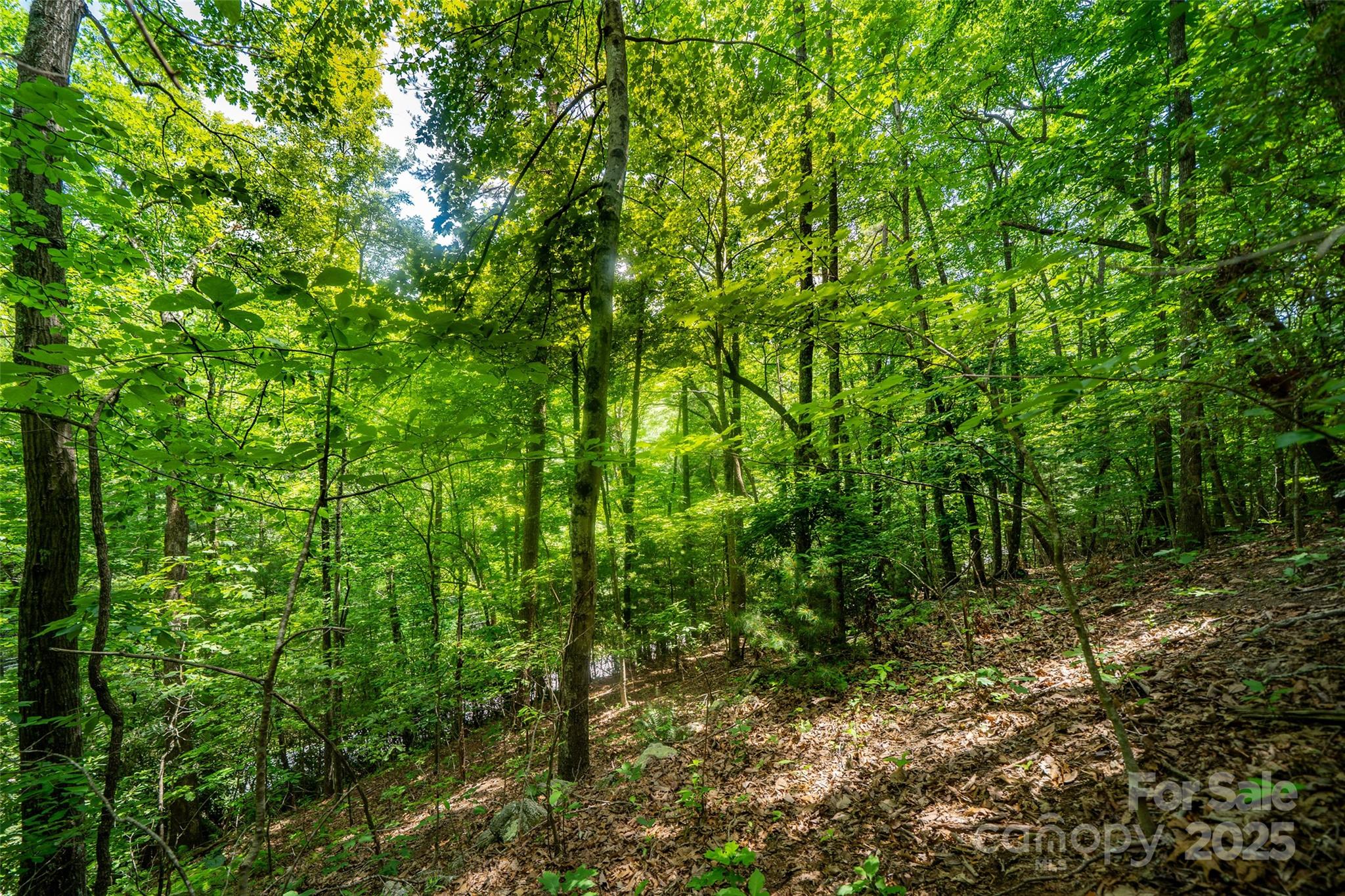 00000 Foster Hill Drive Hendersonville NC 28739