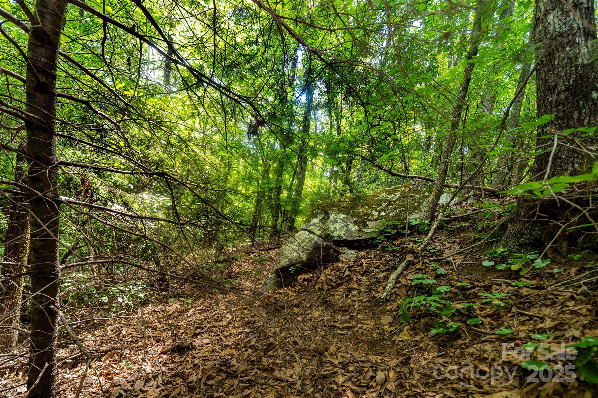 00000 Foster Hill Drive Hendersonville NC 28739