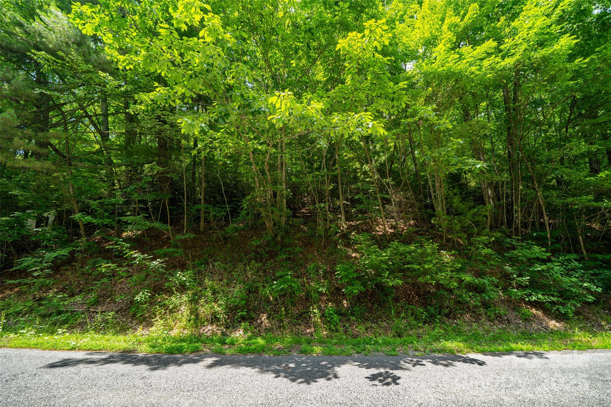 00000 Foster Hill Drive Hendersonville NC 28739
