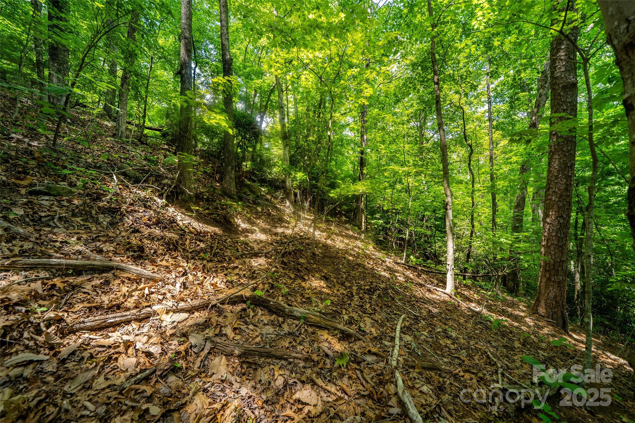 00000 Foster Hill Drive Hendersonville NC 28739