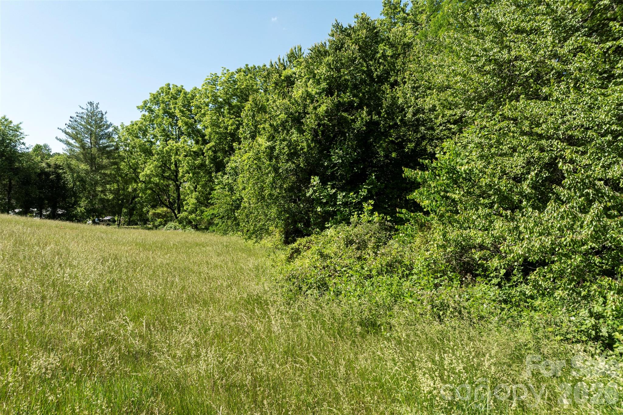 99999 Luther Road Candler NC 28715