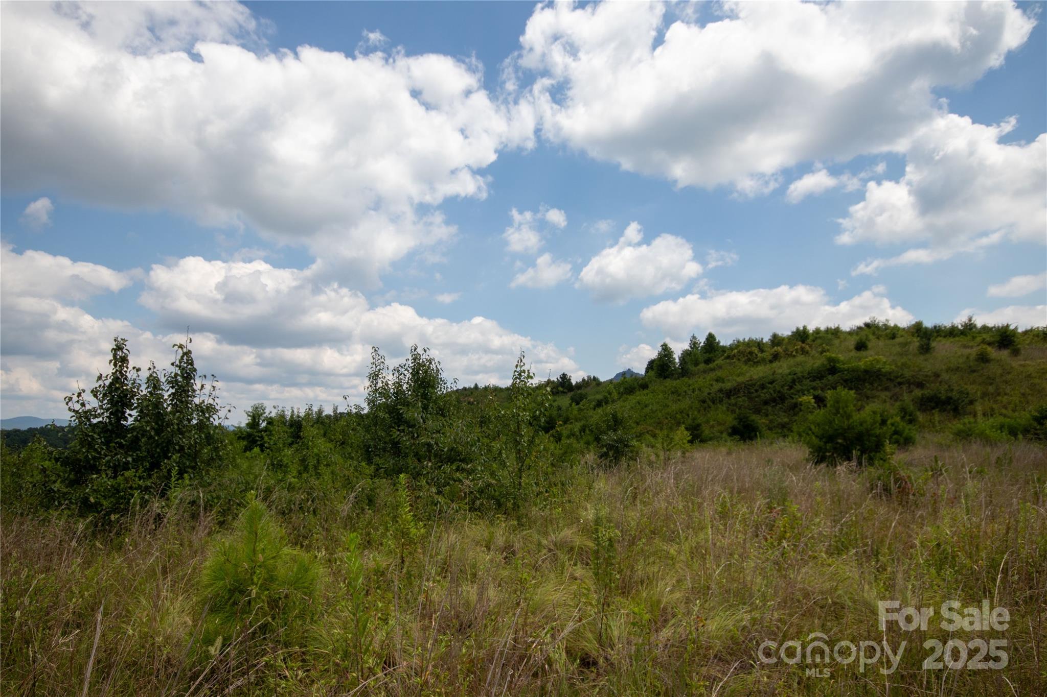 Tbd Hickory Boulevard Lenoir NC 28645