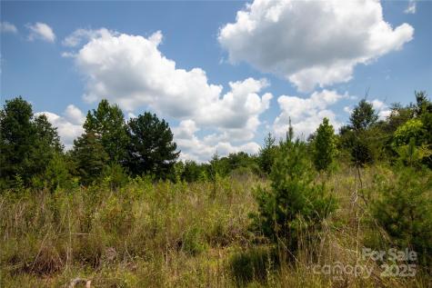 Tbd Hickory Boulevard Lenoir NC 28645