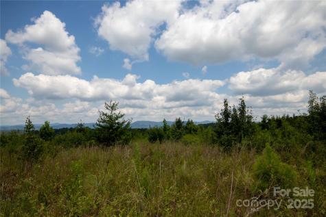 Tbd Hickory Boulevard Lenoir NC 28645