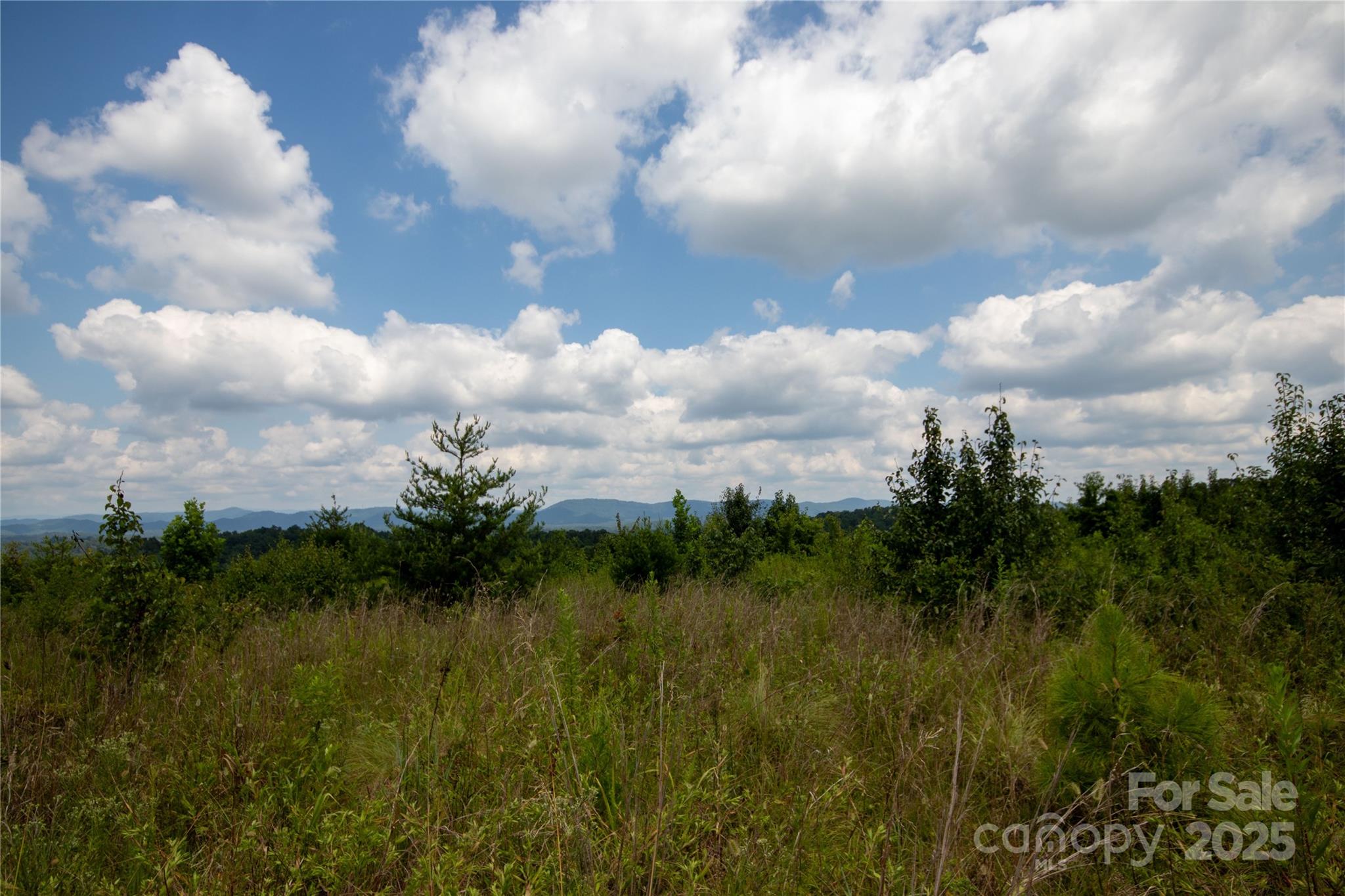 Tbd Hickory Boulevard Lenoir NC 28645