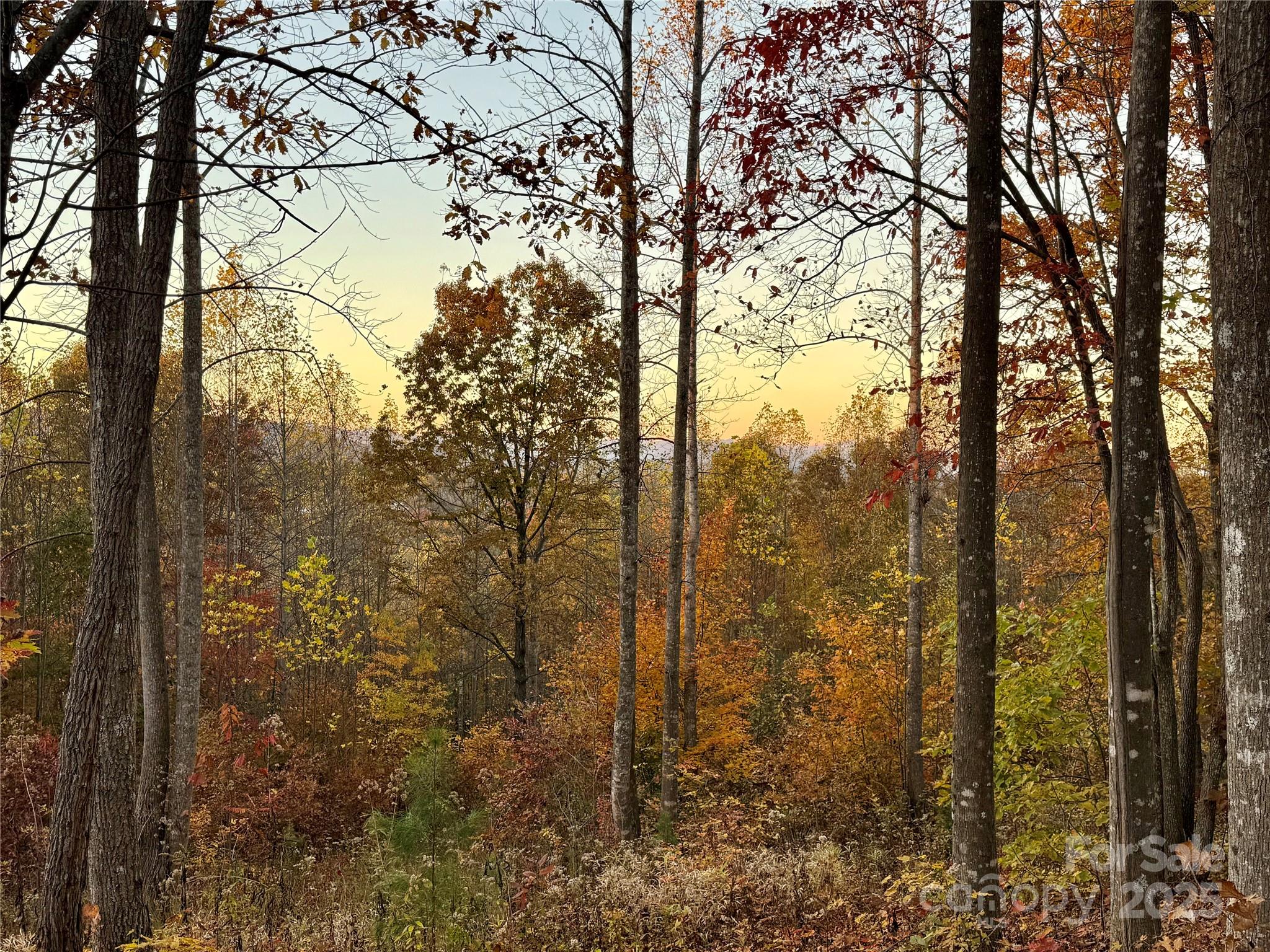 19 Meditation Ridge Extension Nebo NC 28761