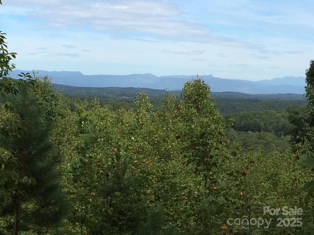 19 Meditation Ridge Extension Nebo NC 28761