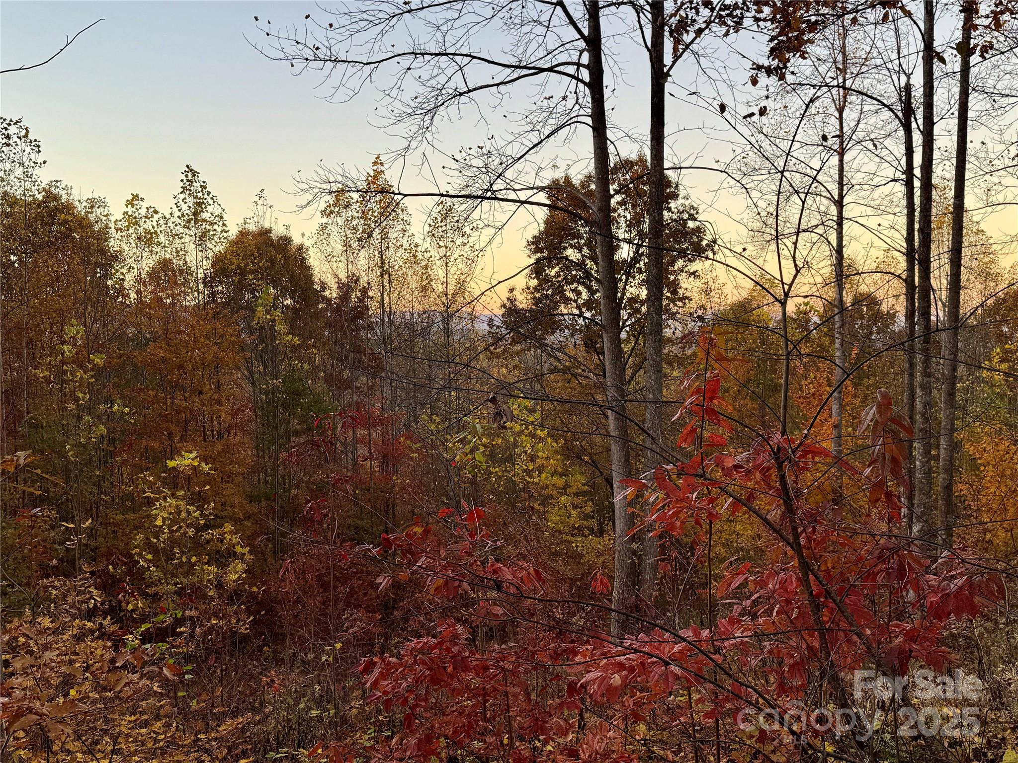 19 Meditation Ridge Extension Nebo NC 28761