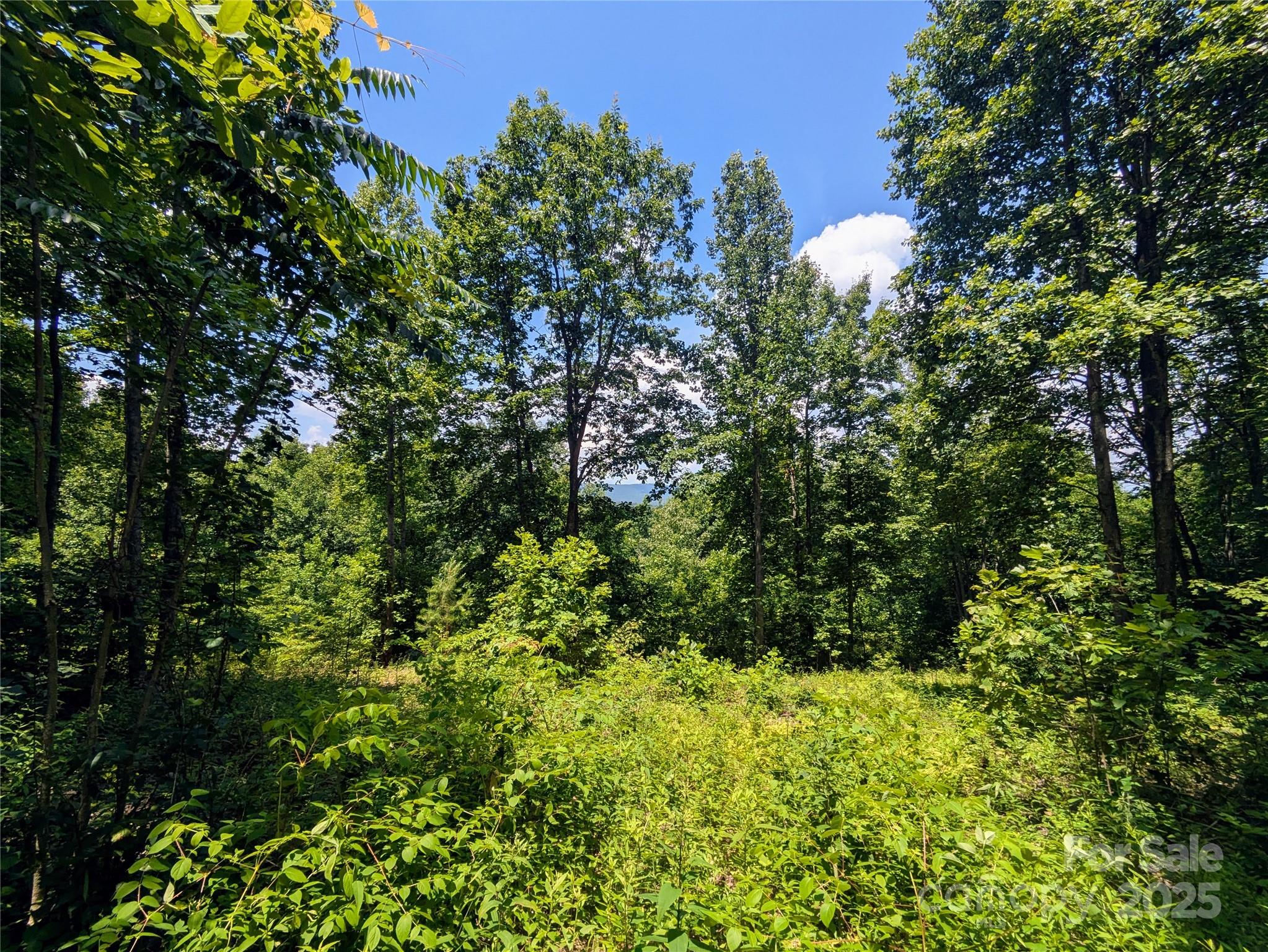 19 Meditation Ridge Extension Nebo NC 28761