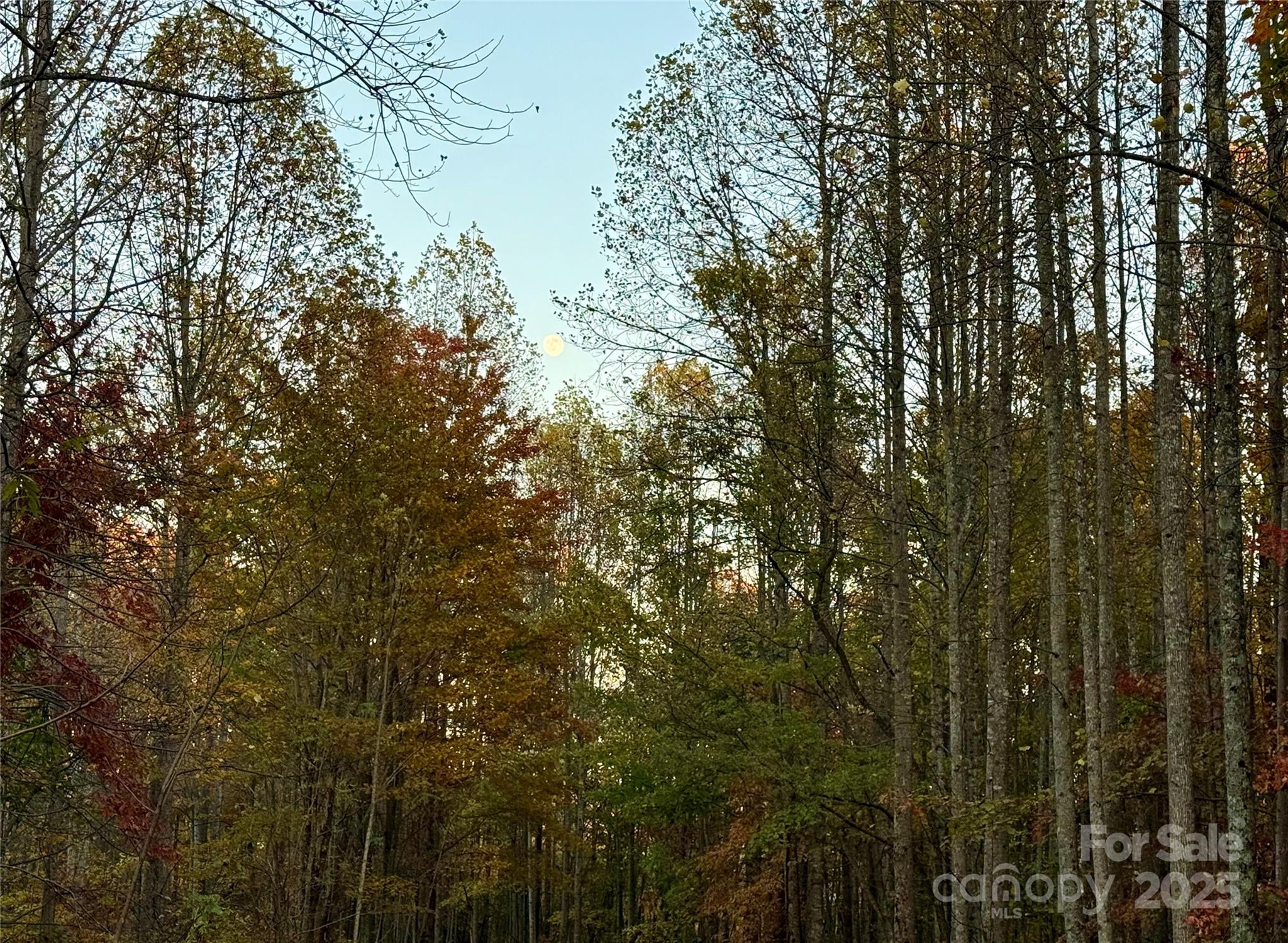 19 Meditation Ridge Extension Nebo NC 28761