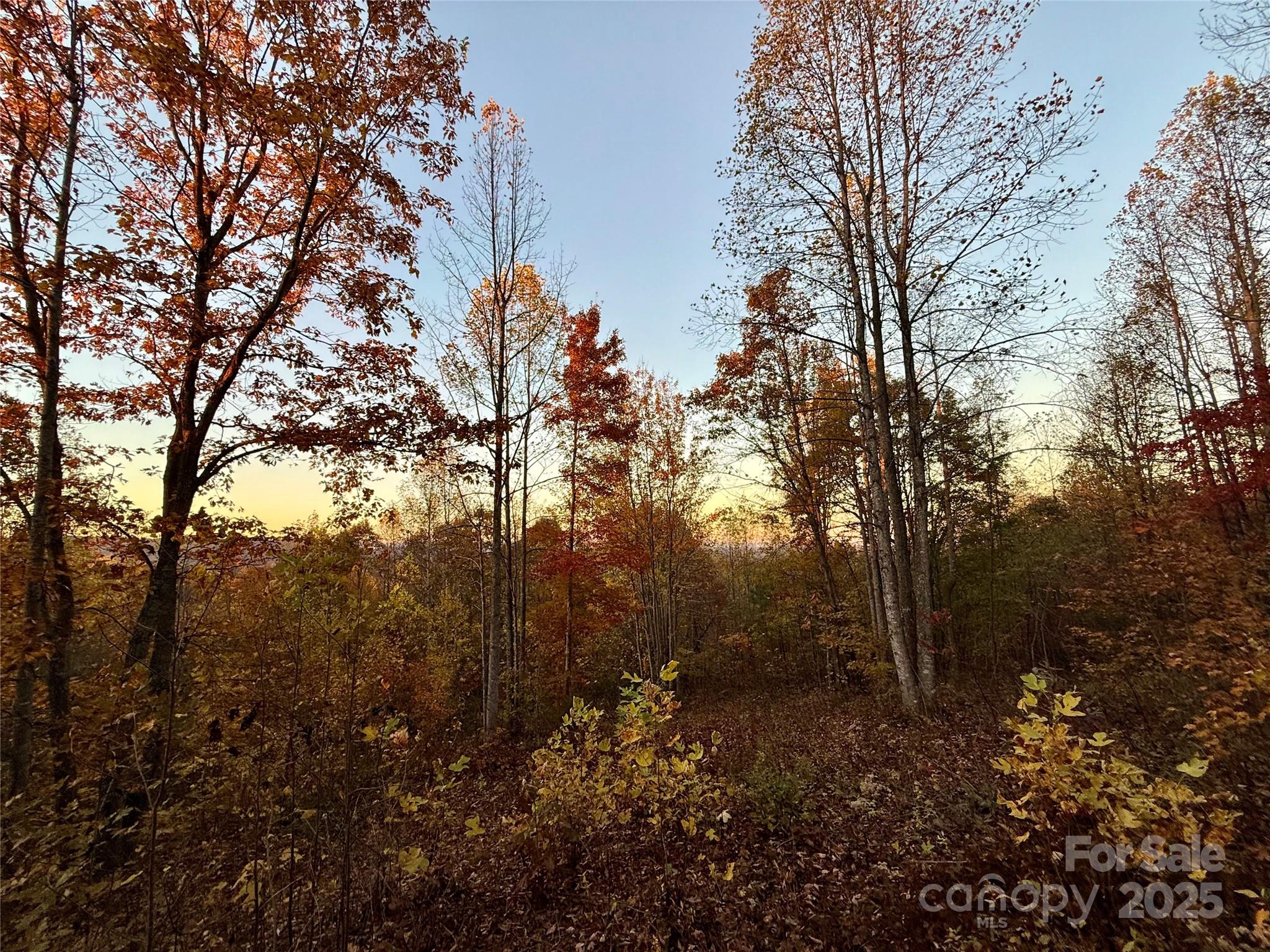 19 Meditation Ridge Extension Nebo NC 28761