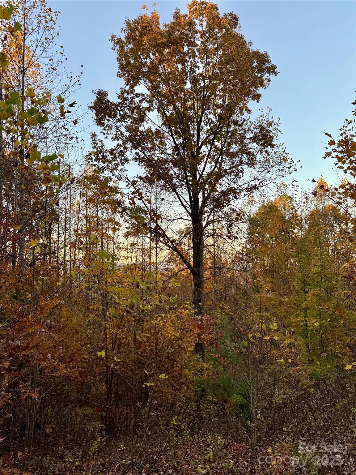 19 Meditation Ridge Extension Nebo NC 28761