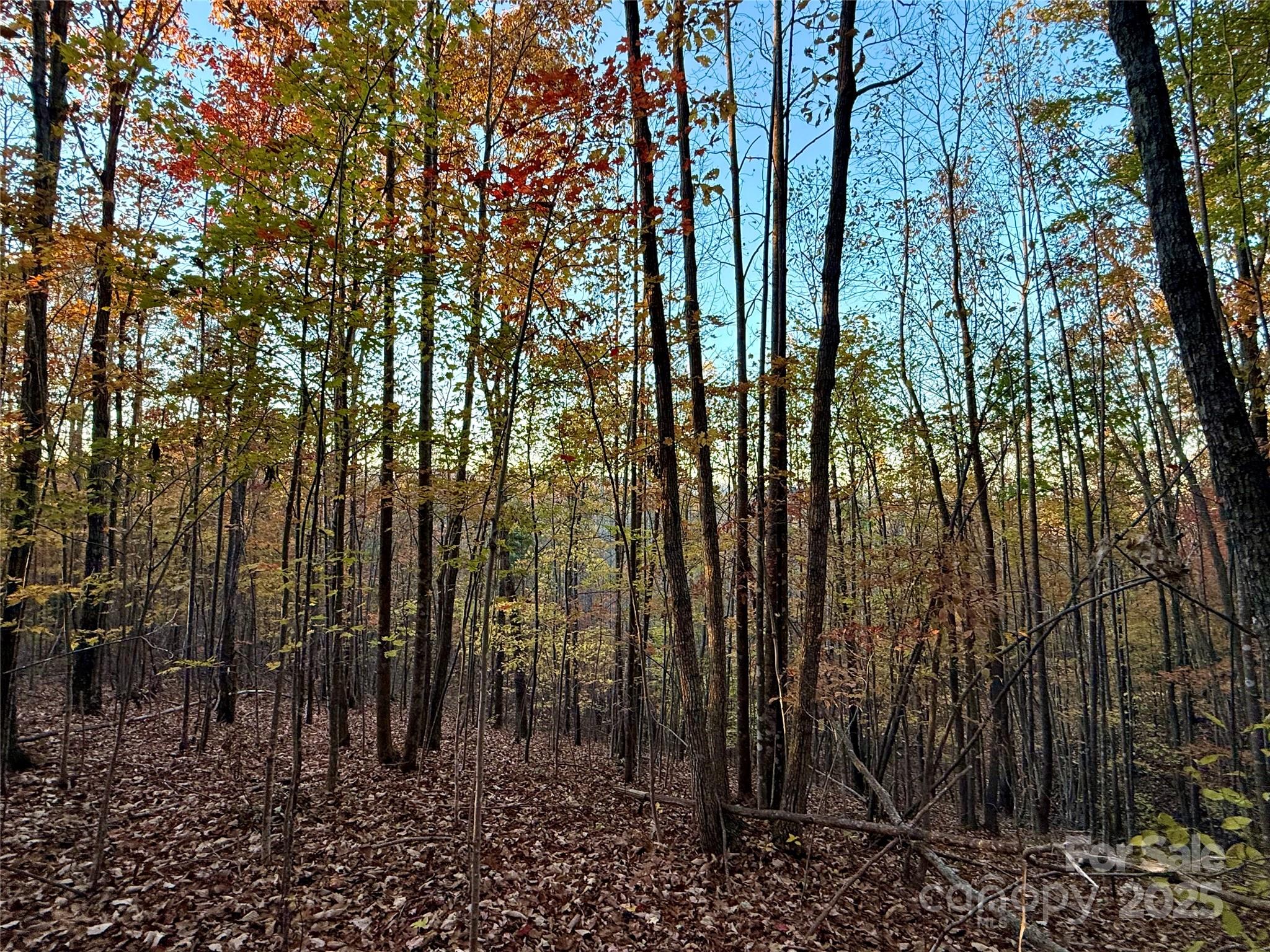 19 Meditation Ridge Extension Nebo NC 28761