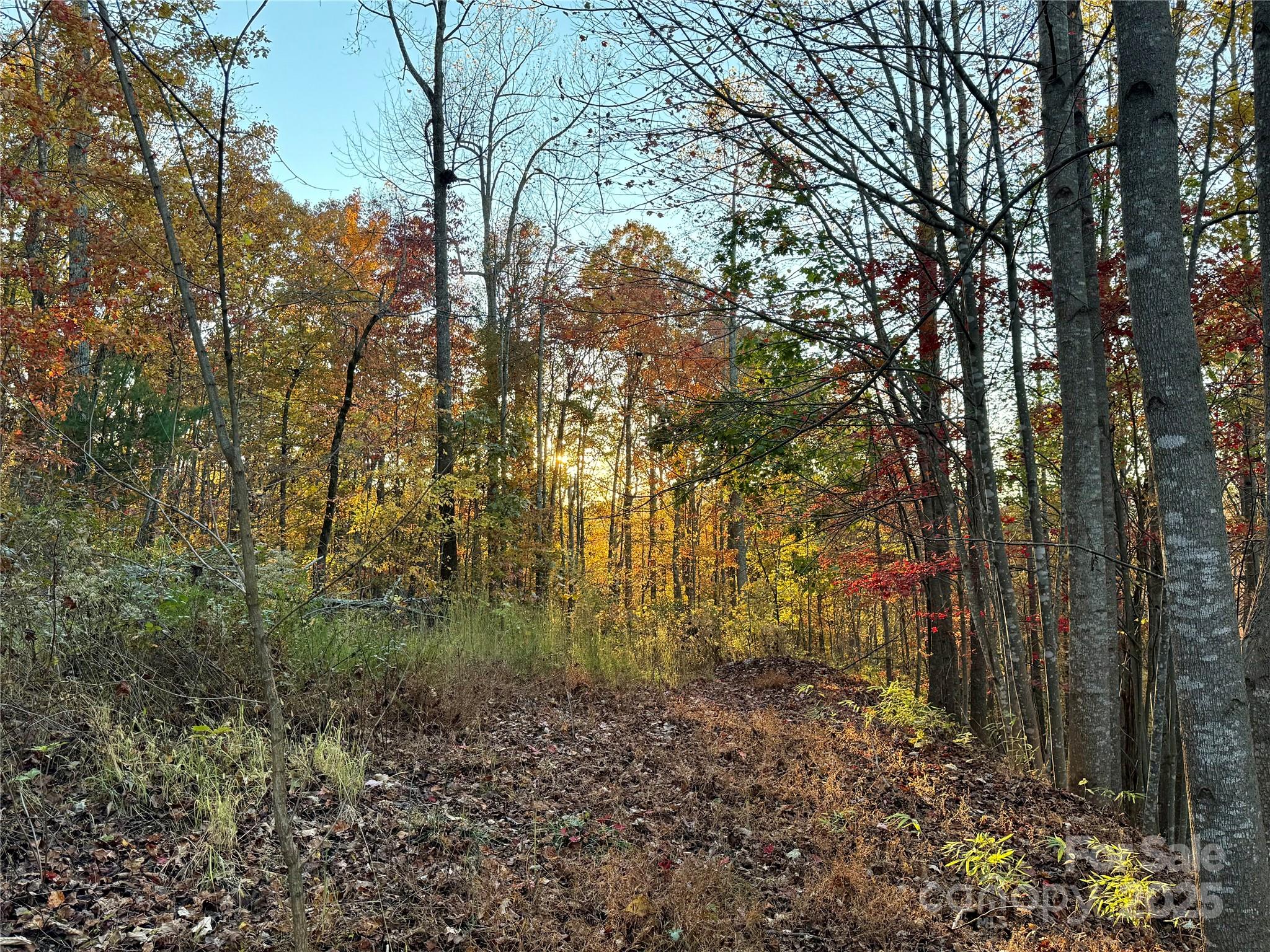 19 Meditation Ridge Extension Nebo NC 28761