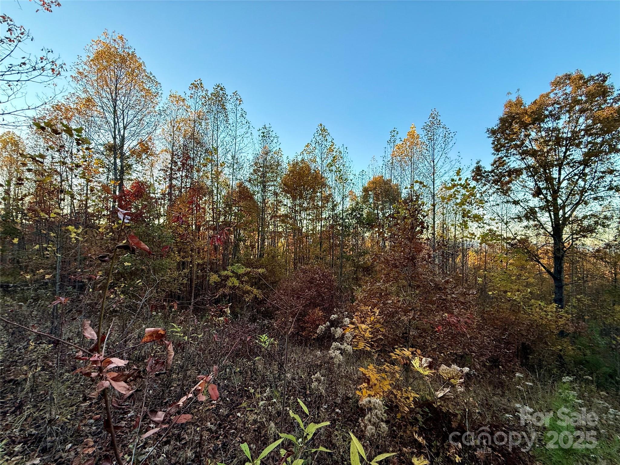 19 Meditation Ridge Extension Nebo NC 28761