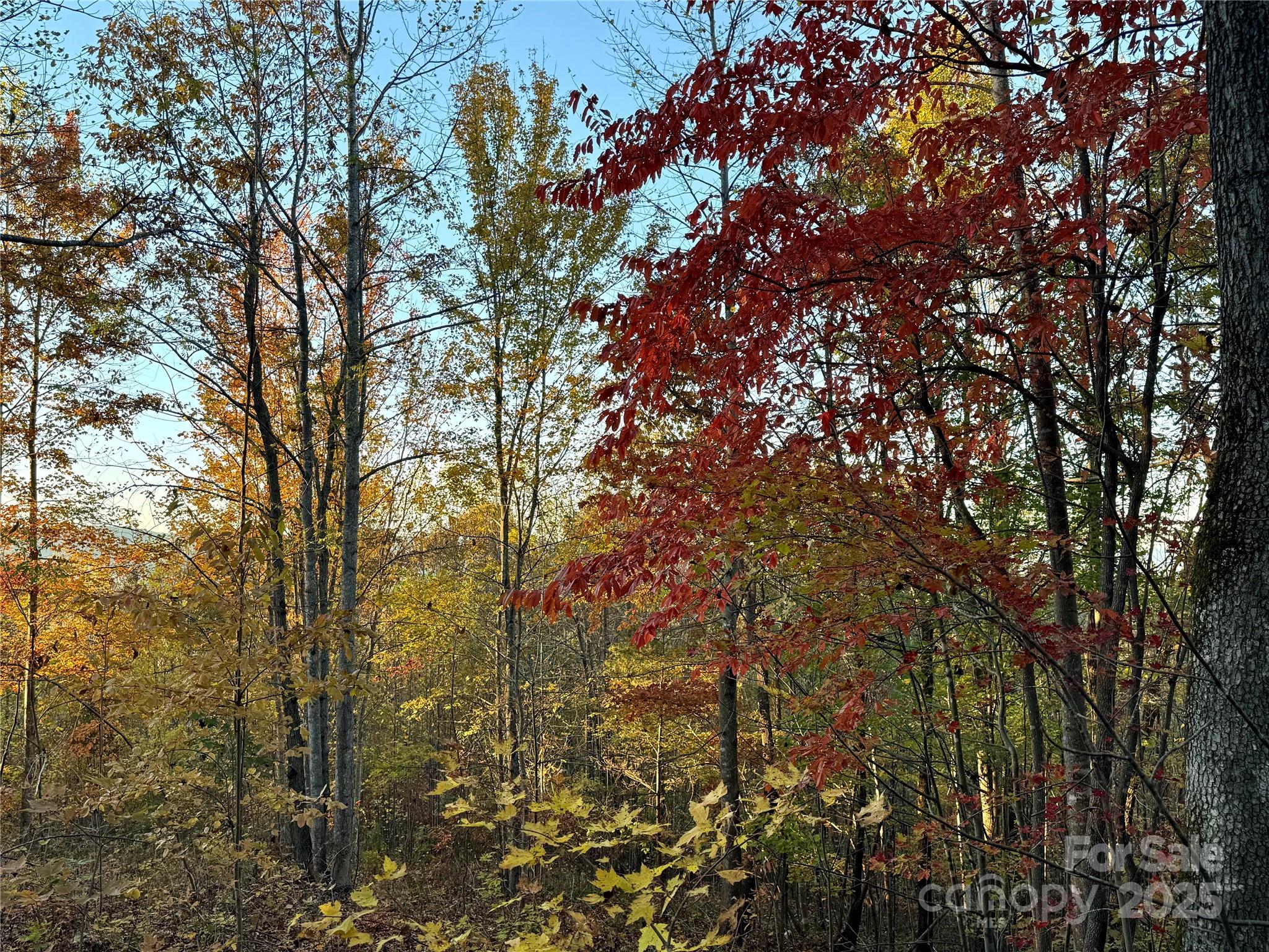 19 Meditation Ridge Extension Nebo NC 28761