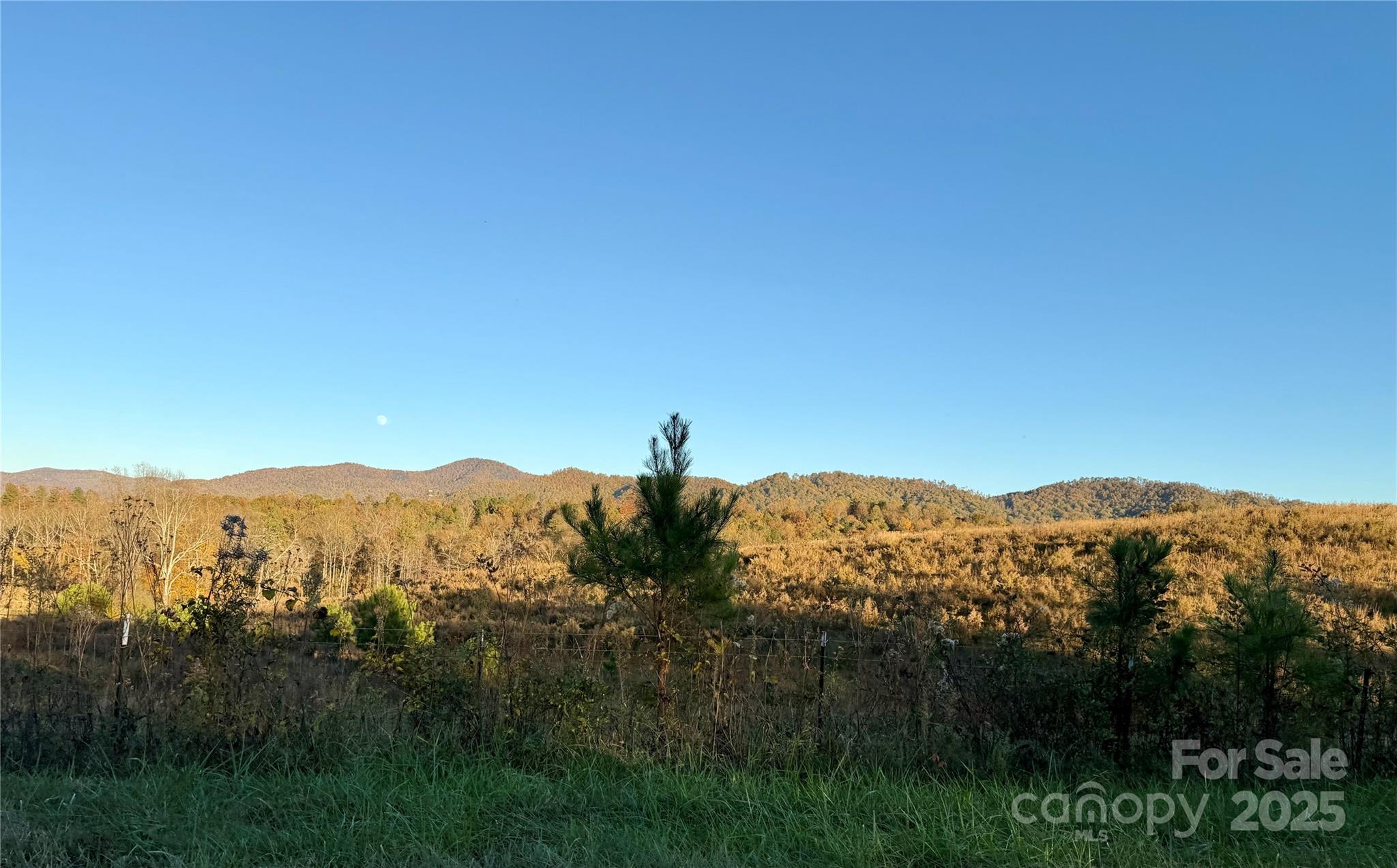 19 Meditation Ridge Extension Nebo NC 28761