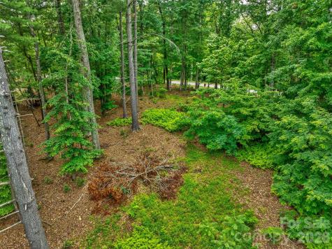17 Hendrickson Court Candler NC 28715