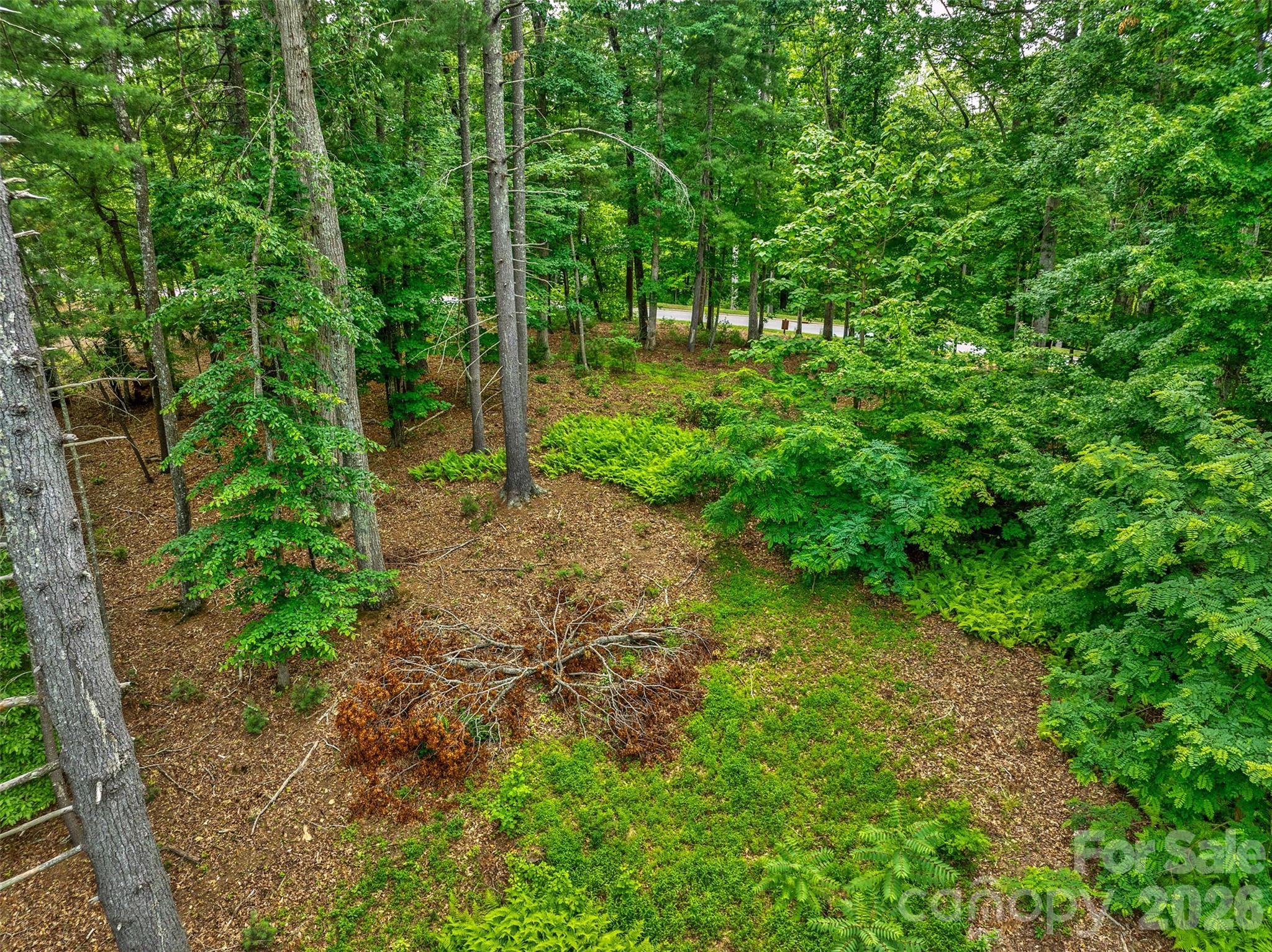17 Hendrickson Court Candler NC 28715