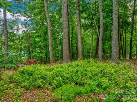 17 Hendrickson Court Candler NC 28715