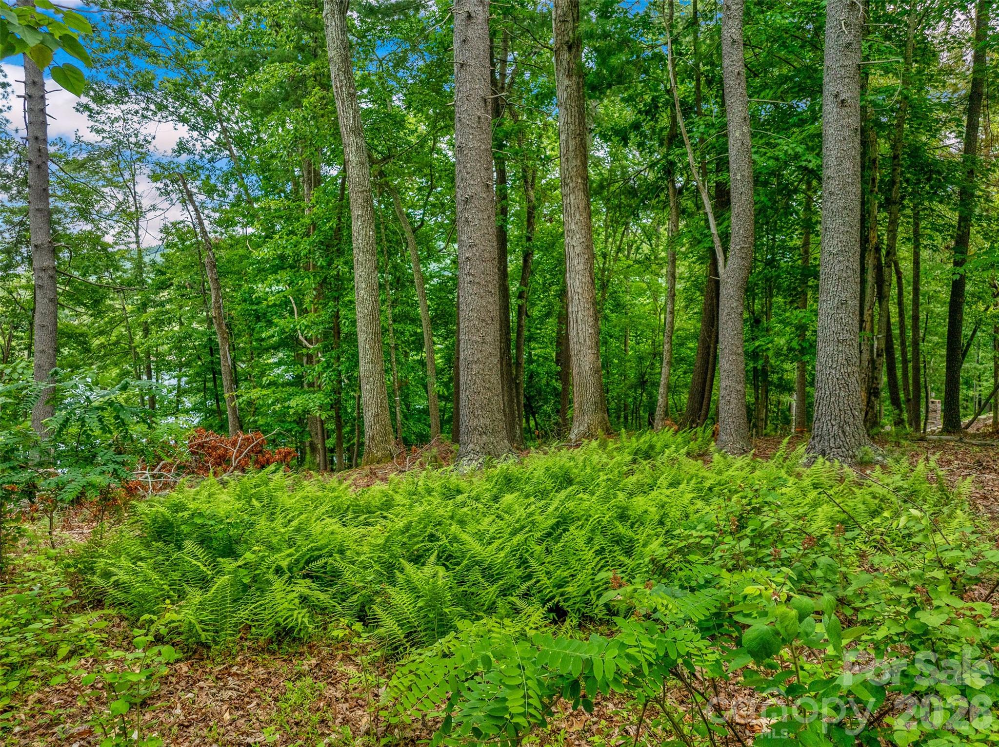 17 Hendrickson Court Candler NC 28715