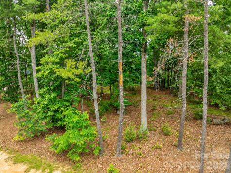 17 Hendrickson Court Candler NC 28715