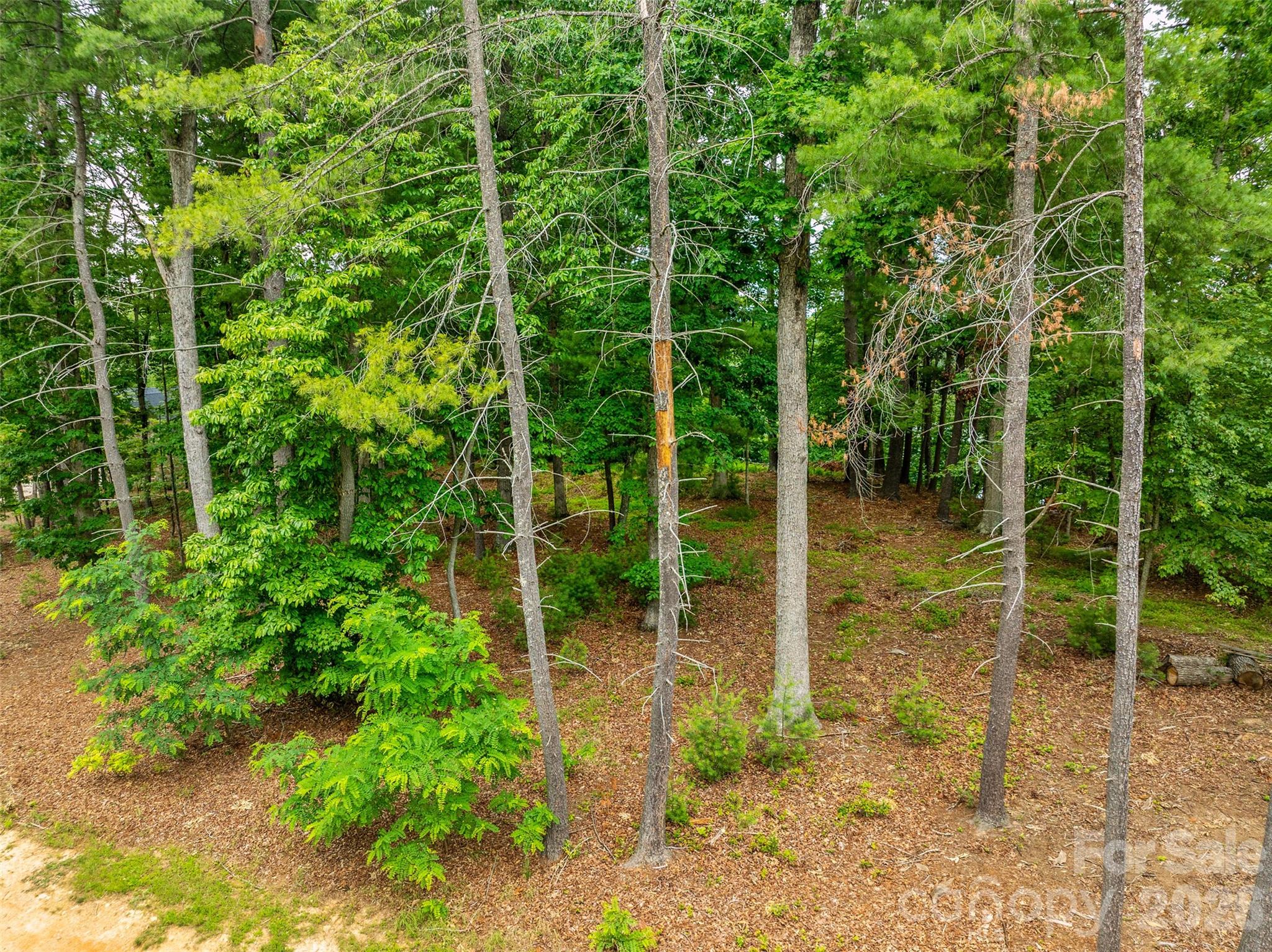 17 Hendrickson Court Candler NC 28715