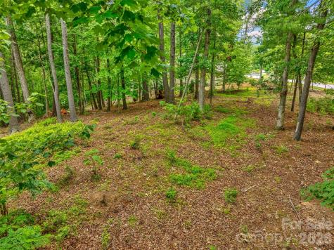 17 Hendrickson Court Candler NC 28715