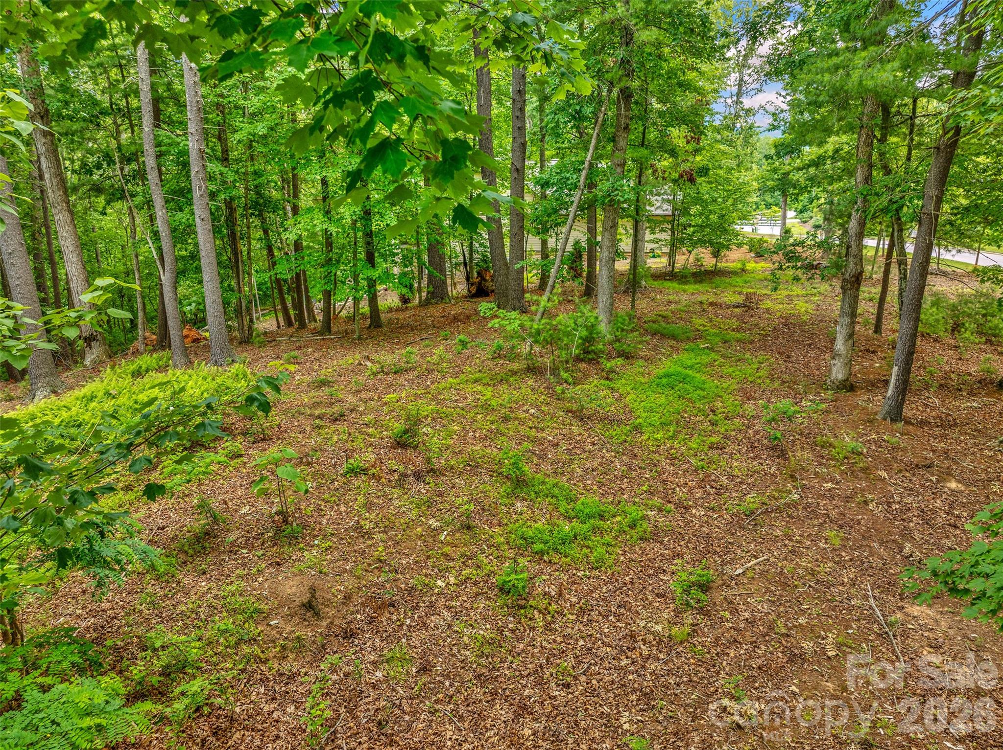 17 Hendrickson Court Candler NC 28715