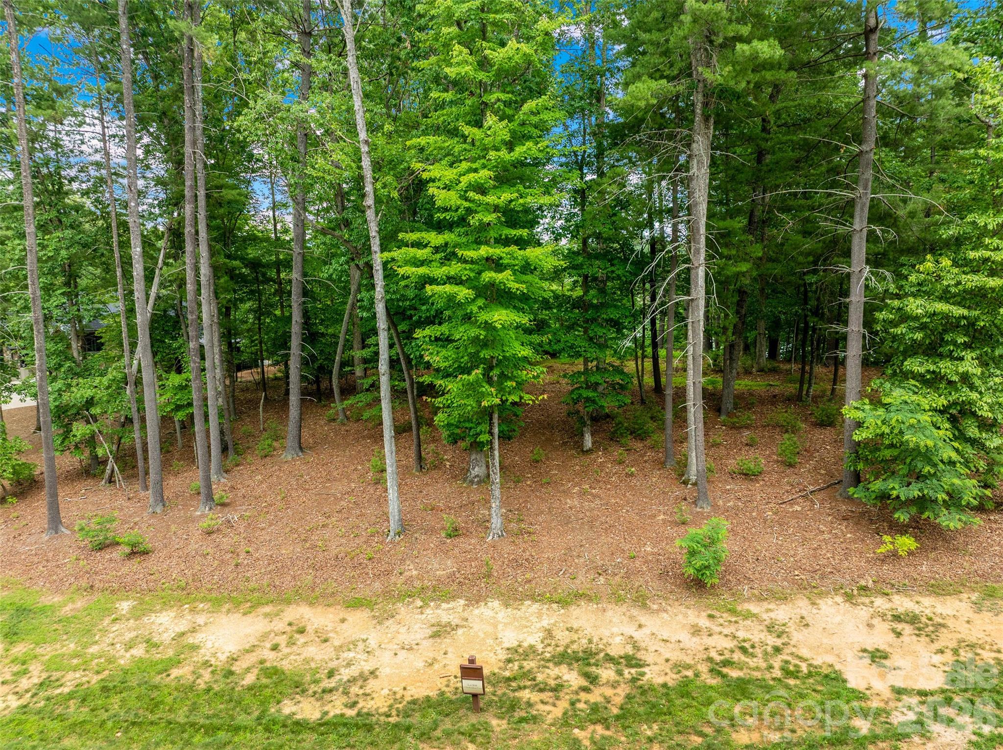 17 Hendrickson Court Candler NC 28715