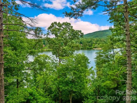 17 Hendrickson Court Candler NC 28715