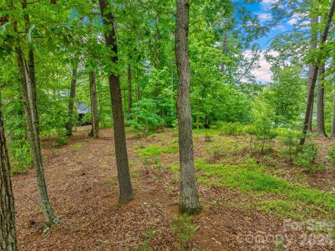 17 Hendrickson Court Candler NC 28715