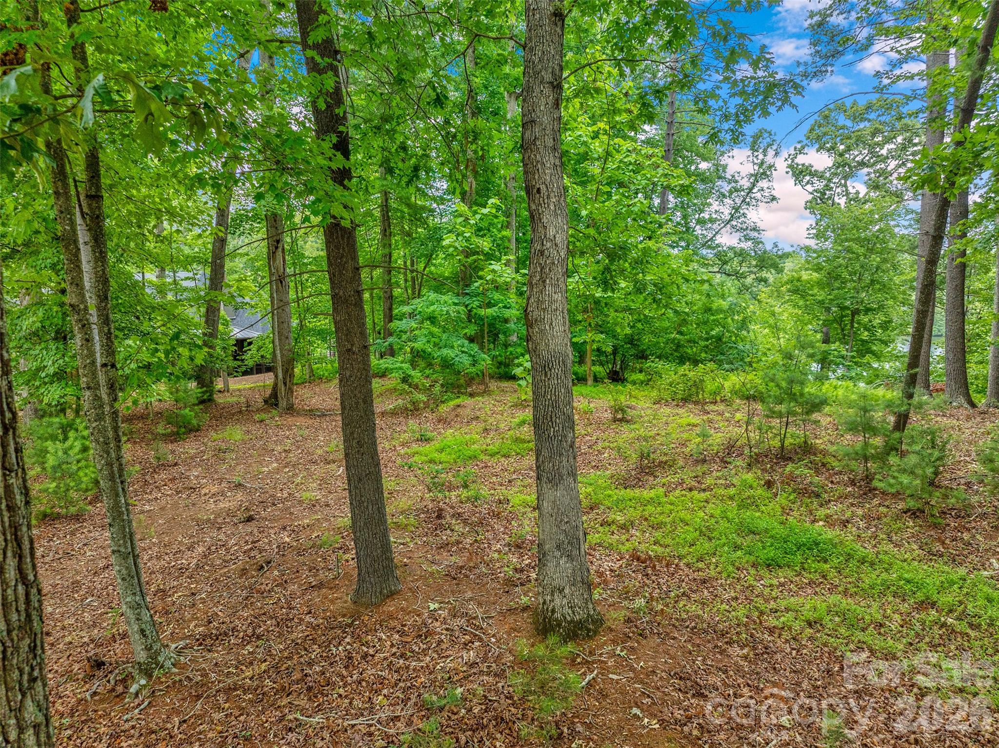 17 Hendrickson Court Candler NC 28715