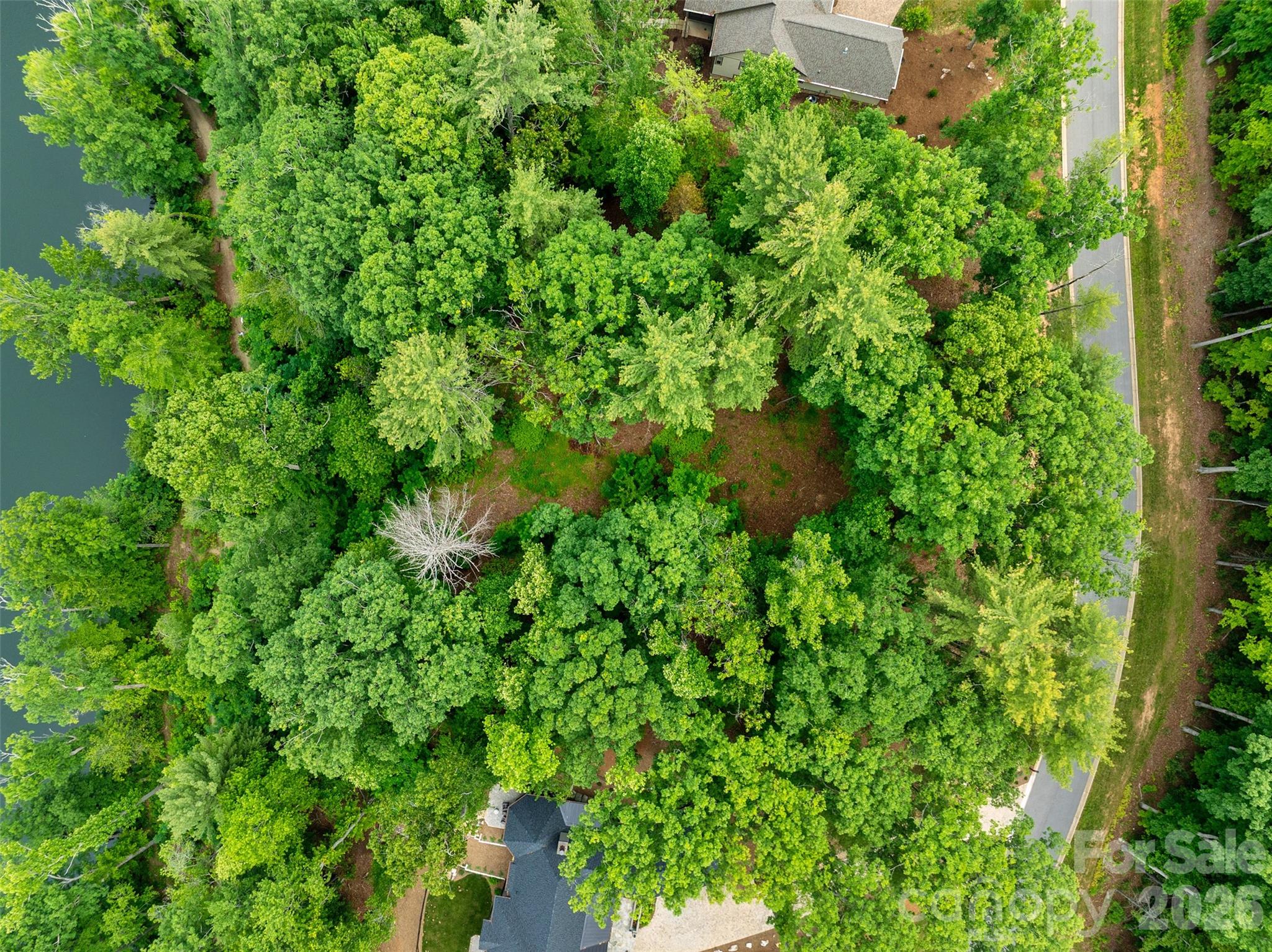17 Hendrickson Court Candler NC 28715