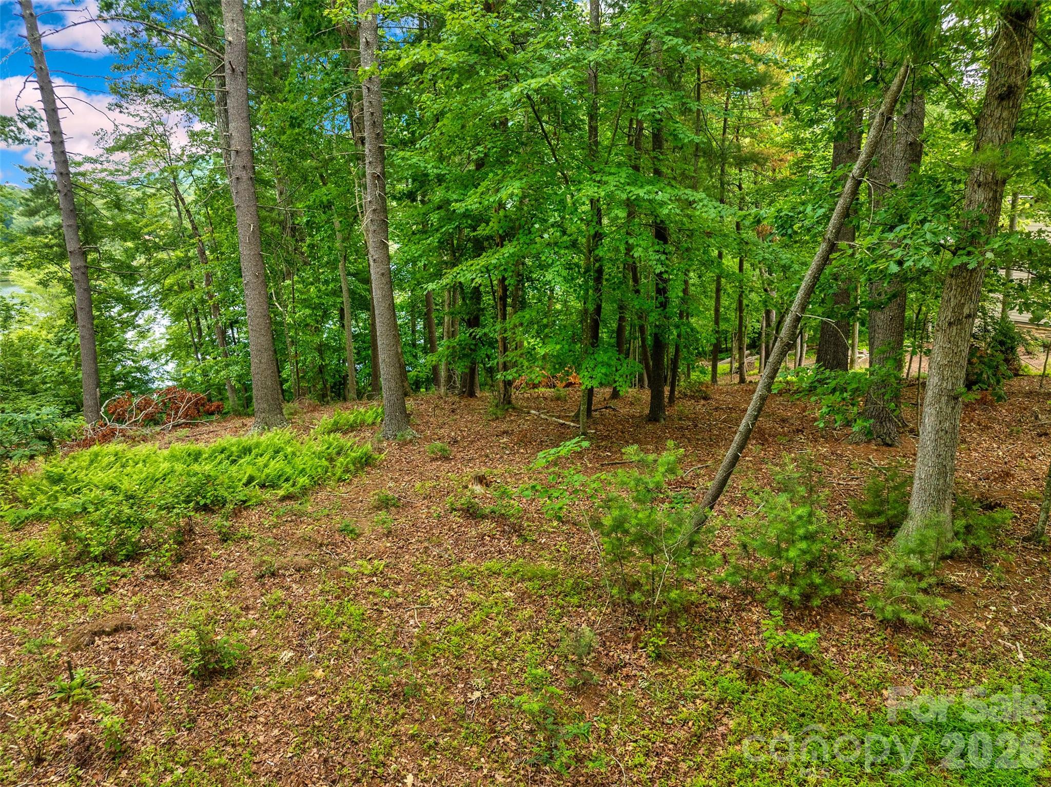 17 Hendrickson Court Candler NC 28715