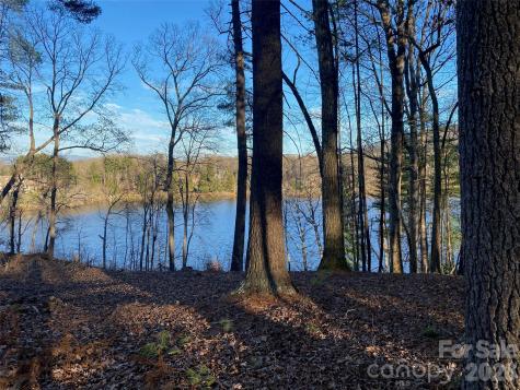 17 Hendrickson Court Candler NC 28715