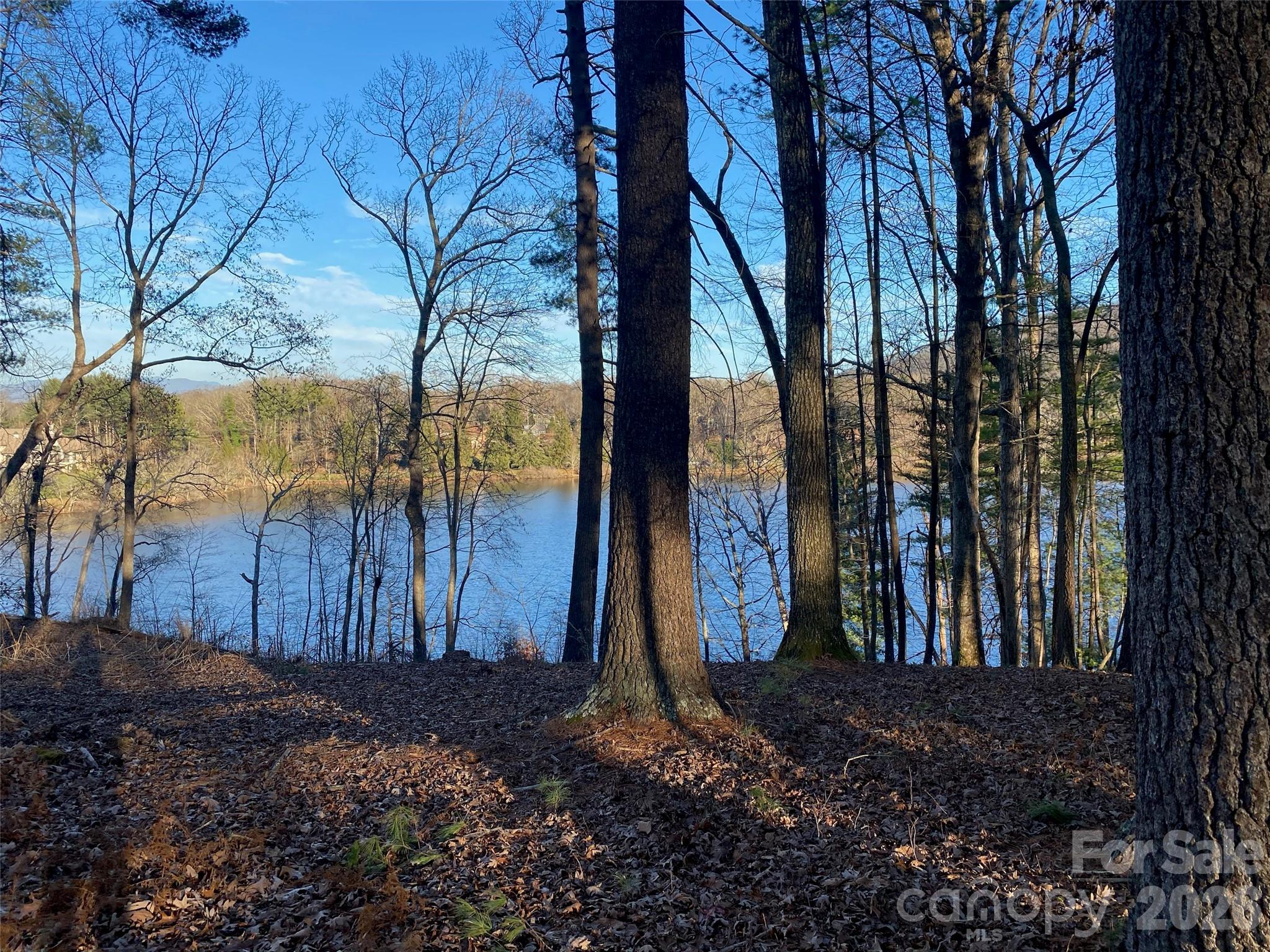 17 Hendrickson Court Candler NC 28715