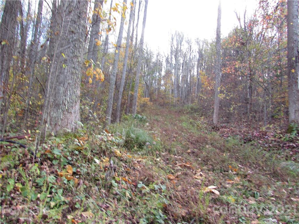 E- 3 Red Wolf Run Mars Hill NC 28754