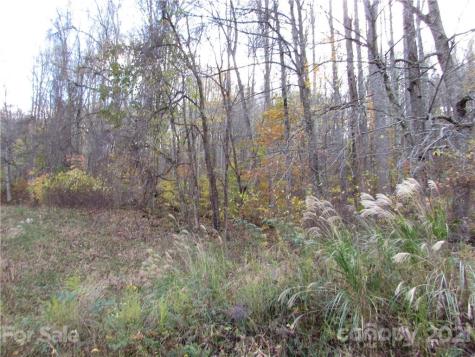 E- 3 Red Wolf Run Mars Hill NC 28754