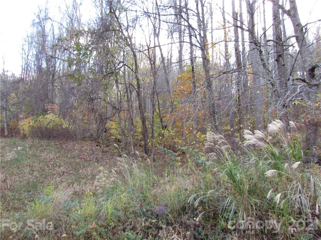 E- 3 Red Wolf Run Mars Hill NC 28754
