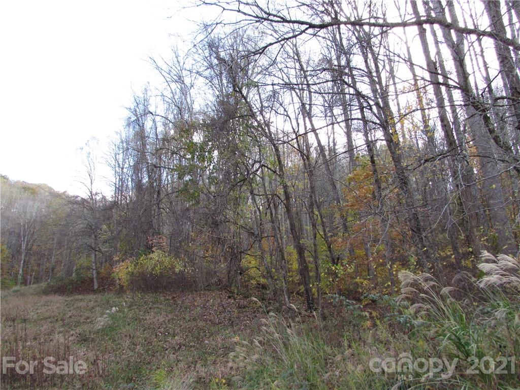 E- 3 Red Wolf Run Mars Hill NC 28754