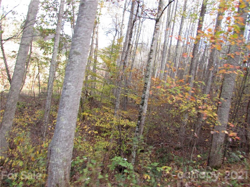 E- 3 Red Wolf Run Mars Hill NC 28754