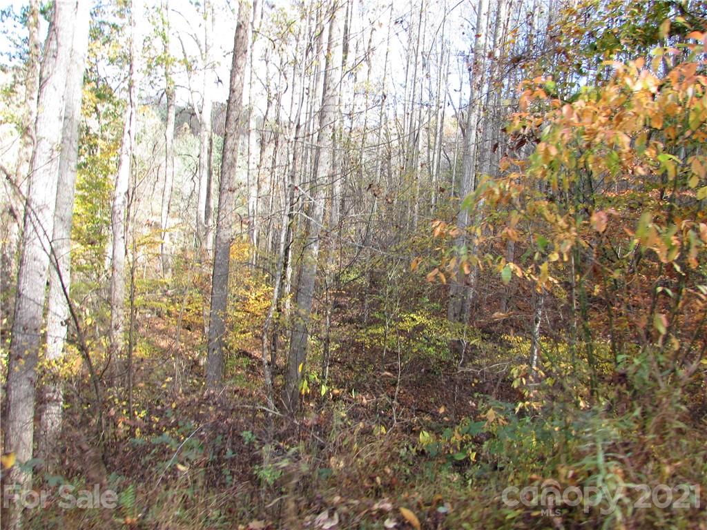 E- 3 Red Wolf Run Mars Hill NC 28754